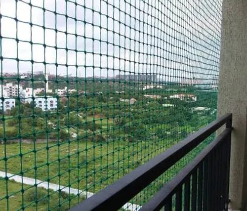 Bird Net Installation